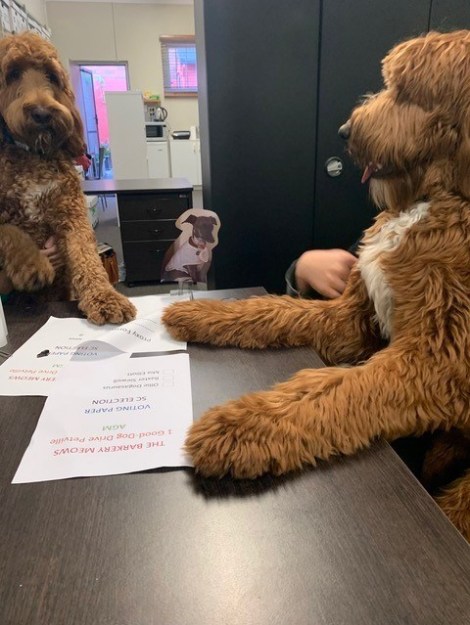 Proxy Meeting - AJB Blog